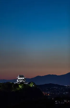 夜空に浮かぶ犬山城が、ライトアップされて神秘的な雰囲気を醸し出している