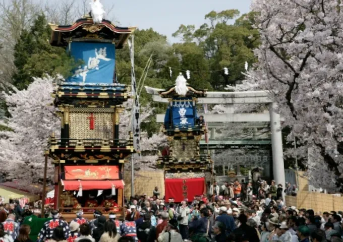 桜が満開の神社の前を進む、華やかな山車