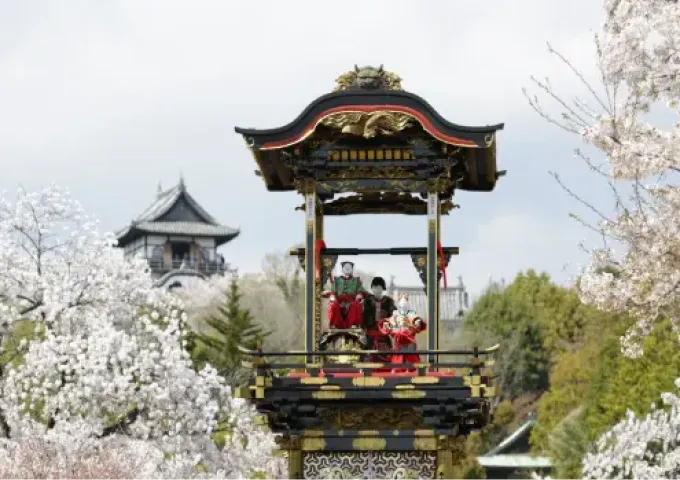 春の祭りを彩る、絢爛豪華な山車と桜